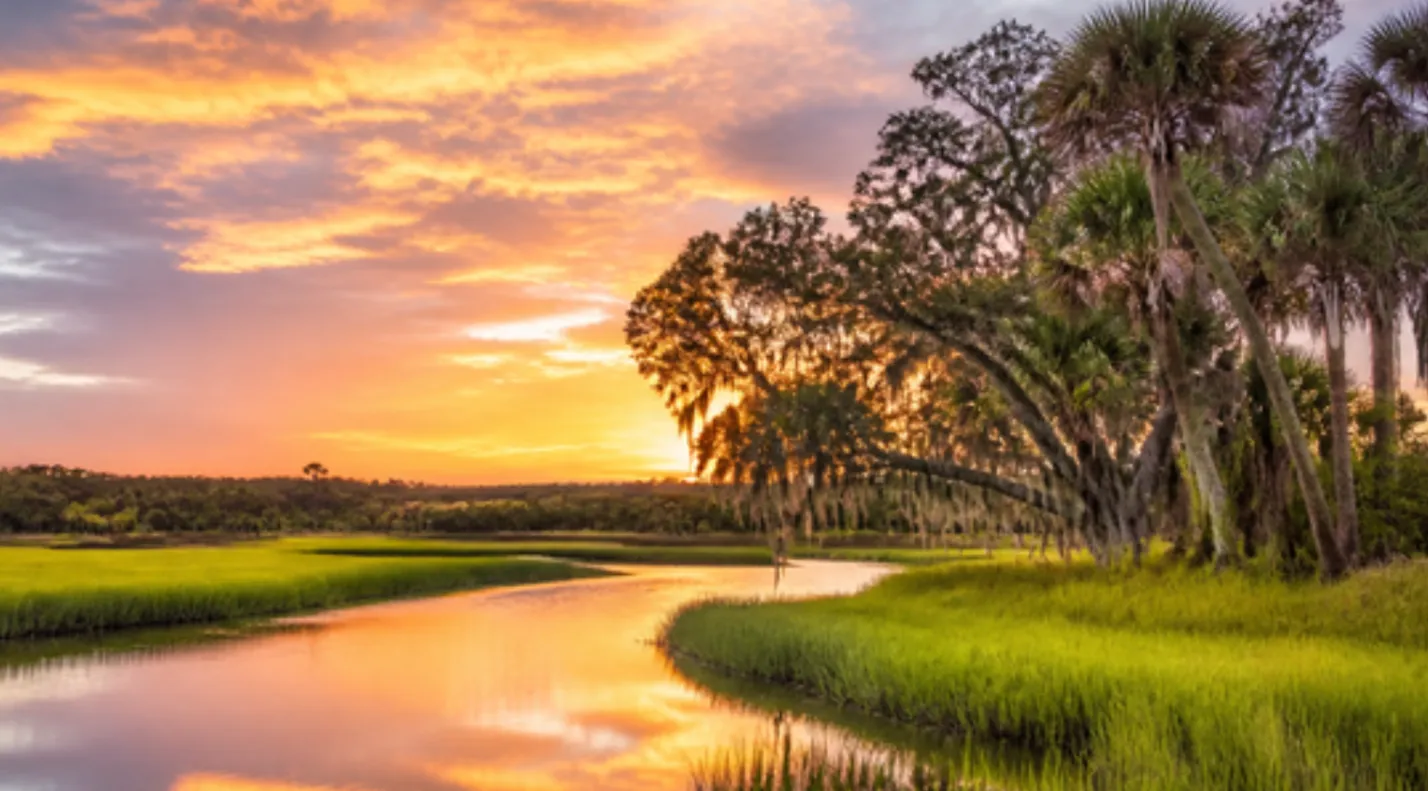 Palmetto trees and Lowcountry marsh at sunset in South Carolina